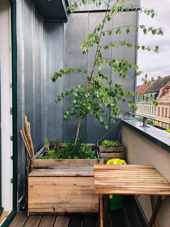 Consejos prácticos para crear un jardín urbano en espacios pequeños